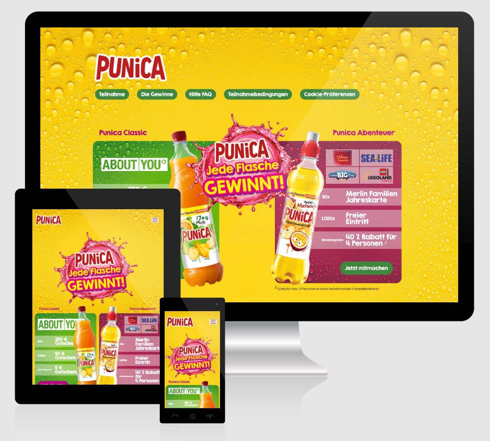 Webdesign für Punica